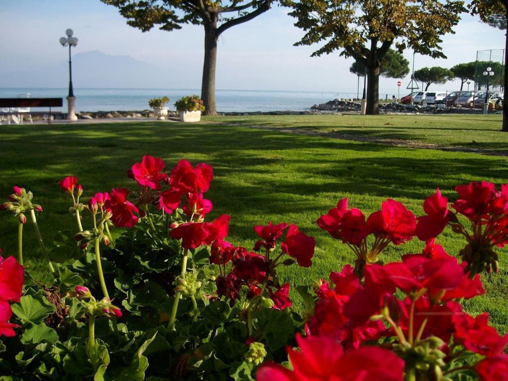 Hotel Lugana Parco Al Lago Hotelli 3*