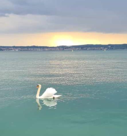 Marilyn Arpa * Sirmione