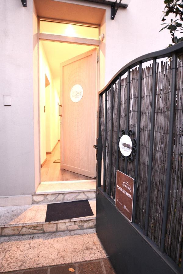 Harmony Guest house *