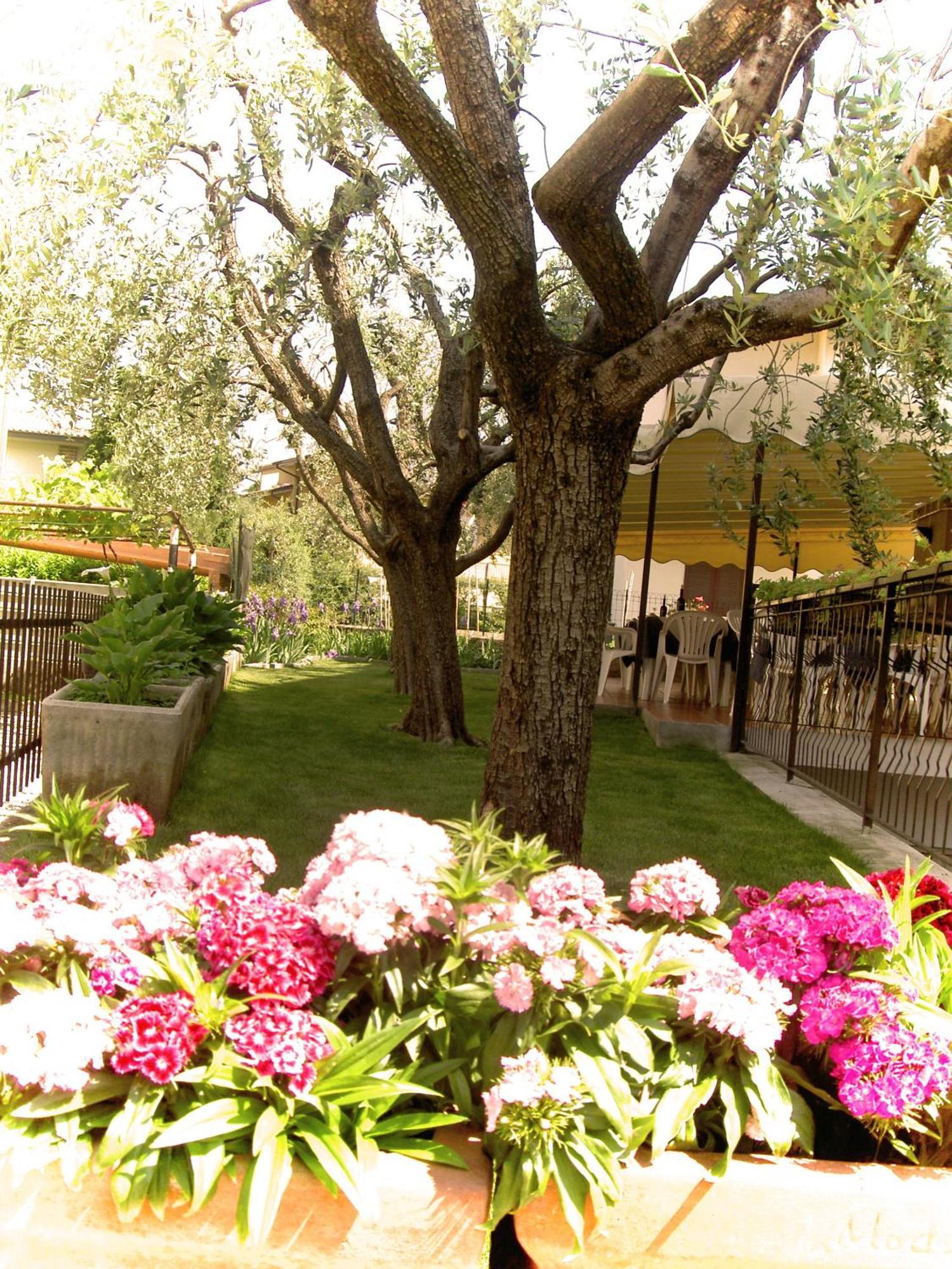 Hotel Azzurra 3*