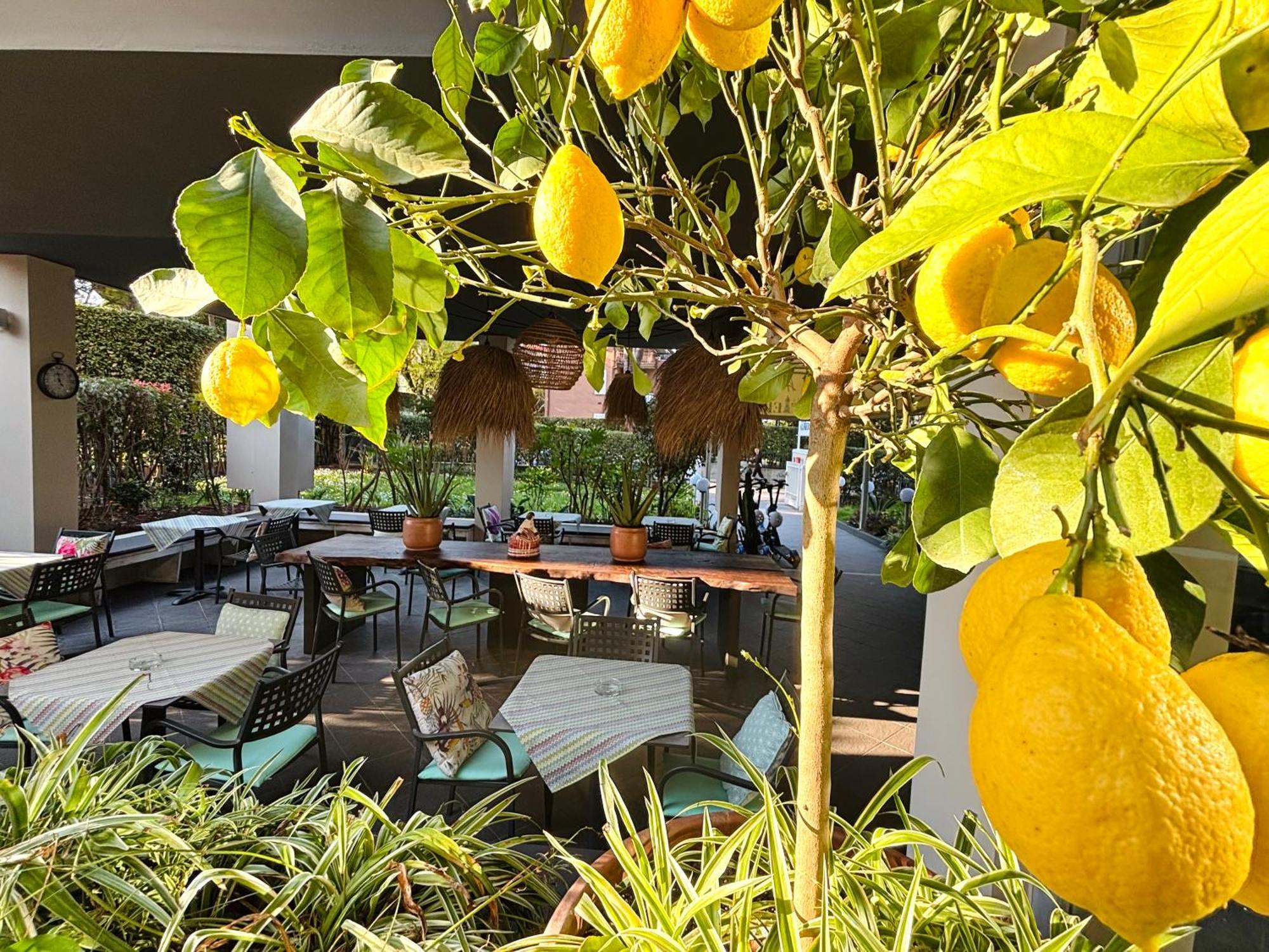 Alfieri Hotel