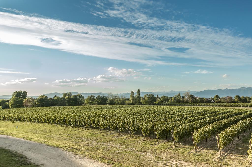 Cascina Borghetta Ở trang trại *