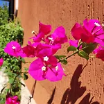 Casapatrizia B&B Sirmione