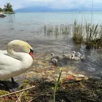 Lake Front Luxury Apartment (Adults Only)