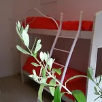 Il Nido Del Cigno