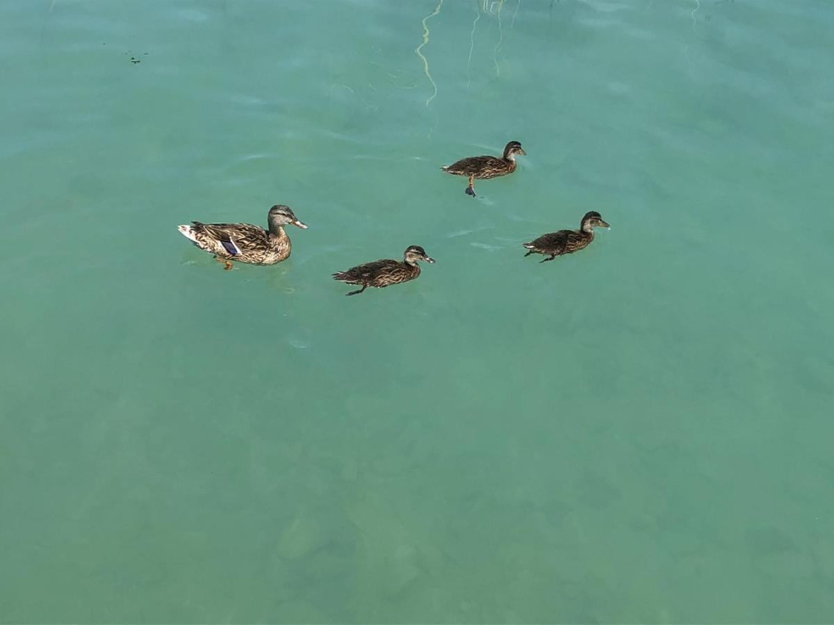 Front Luxury (adults Only) * Sirmione