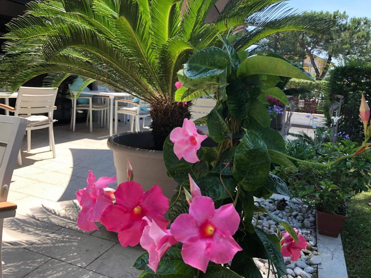 International Hotel Sirmione
