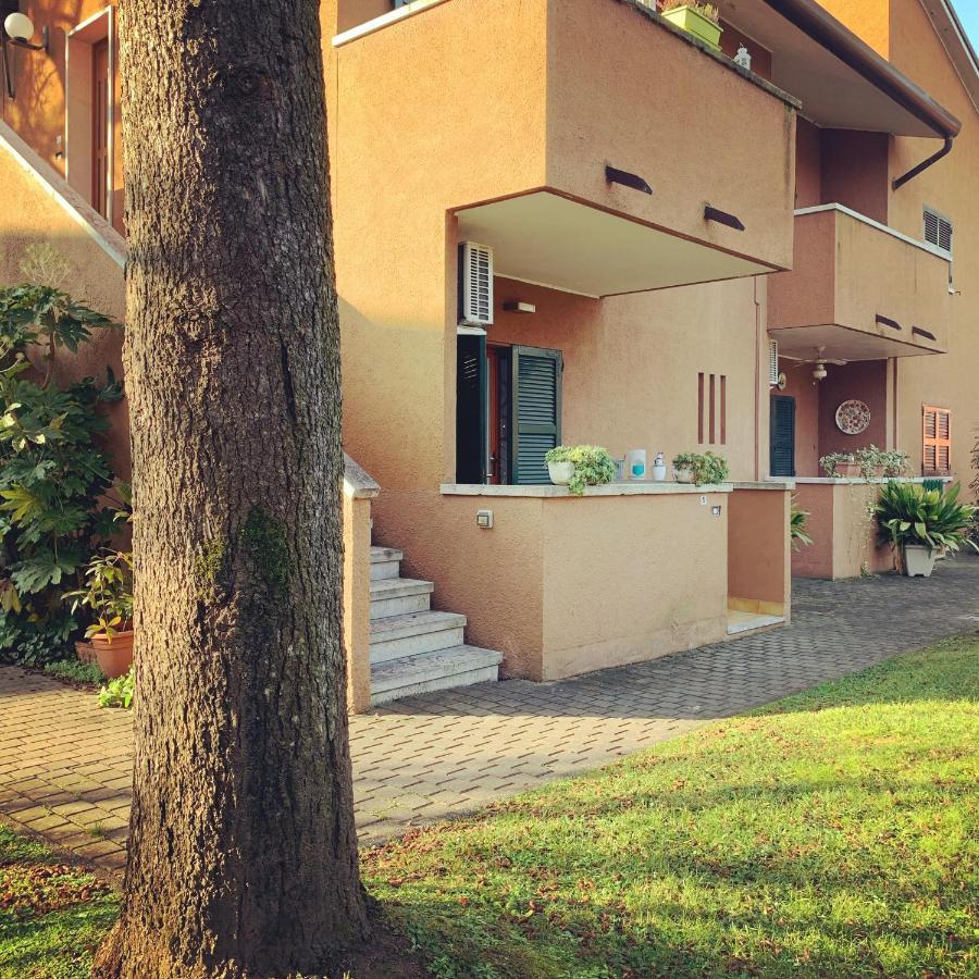 Azur Appartement