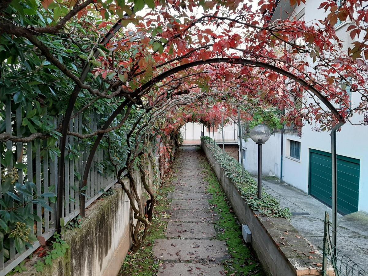 Appartement Genziana - Con Vista Piscina E Garage