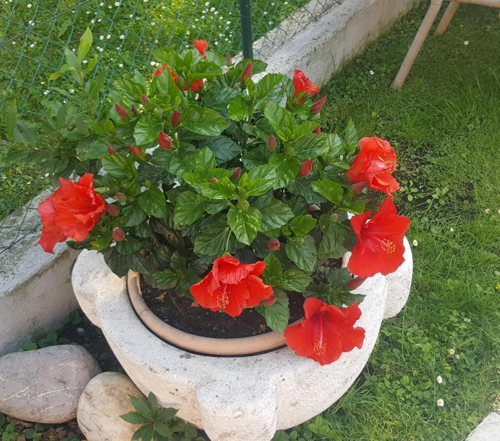 Casa Gaia - Bed & Breakfast Sirmione