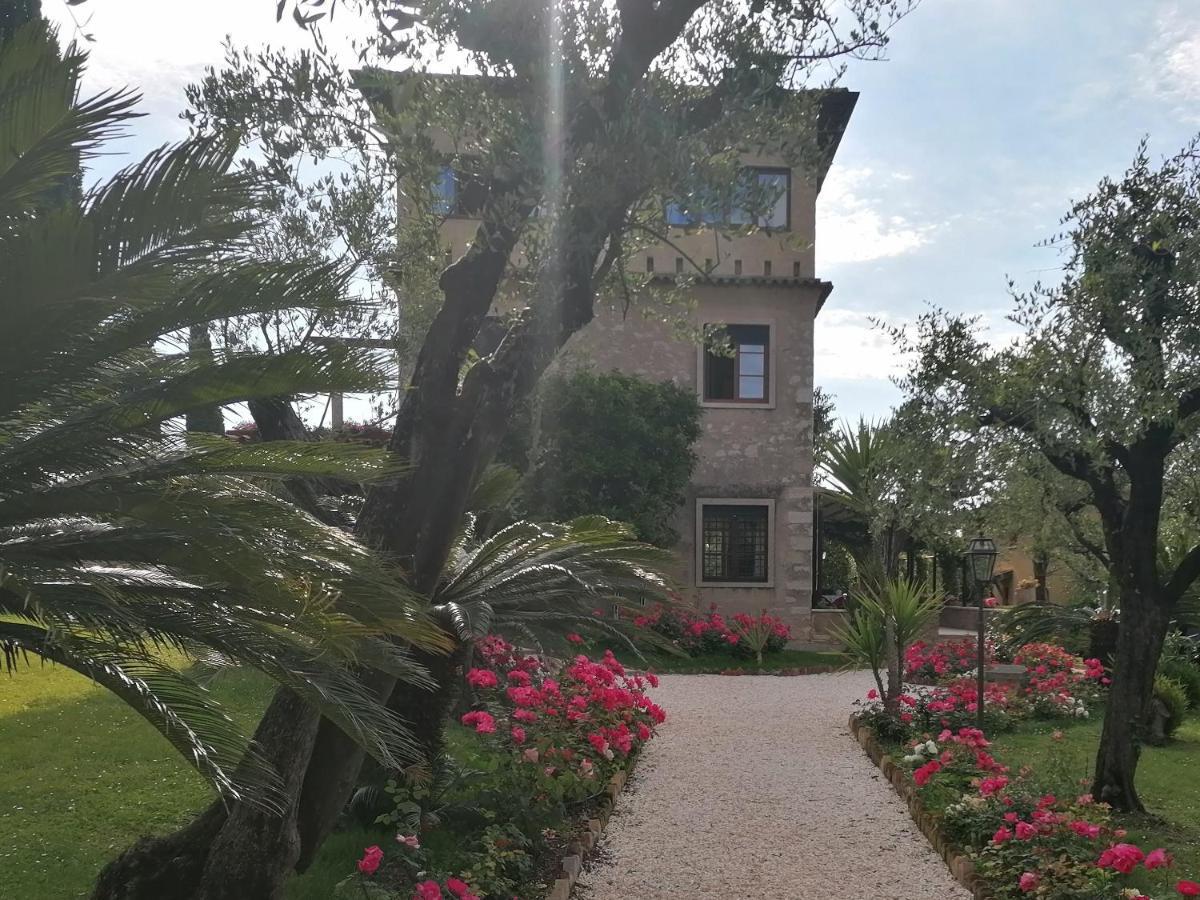 Paradiso Bed & Breakfast