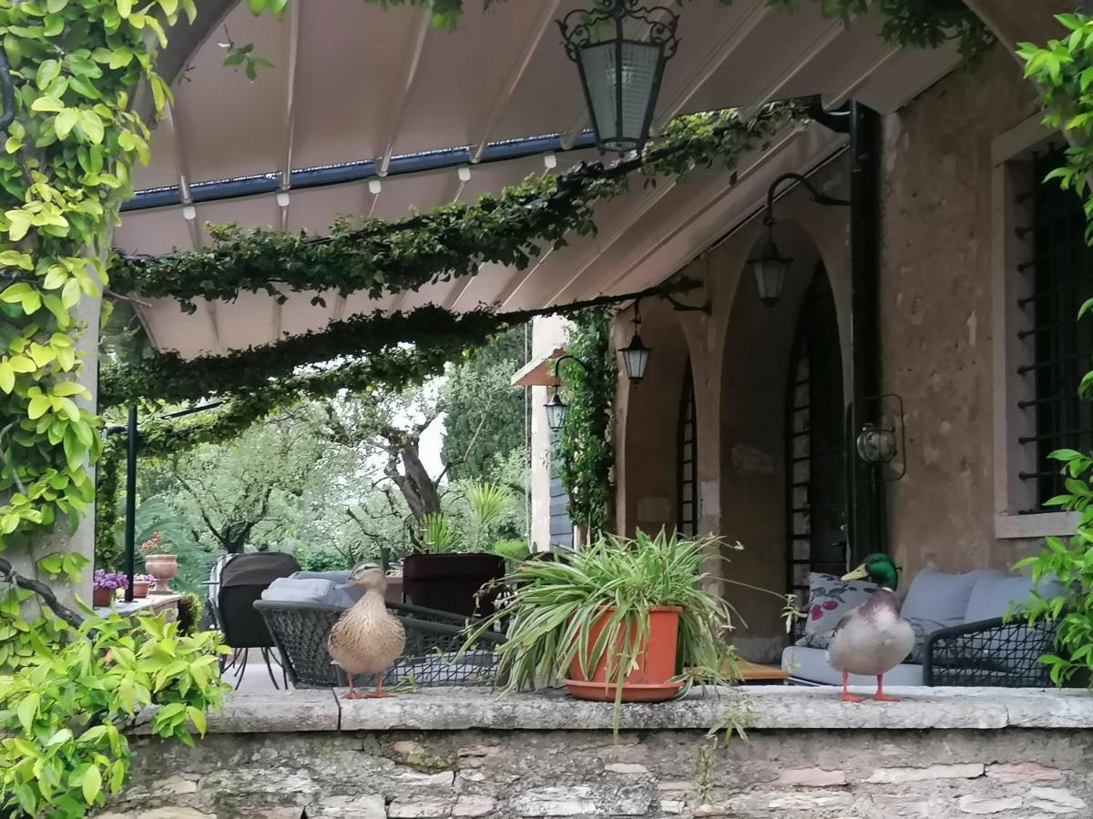 Paradiso *