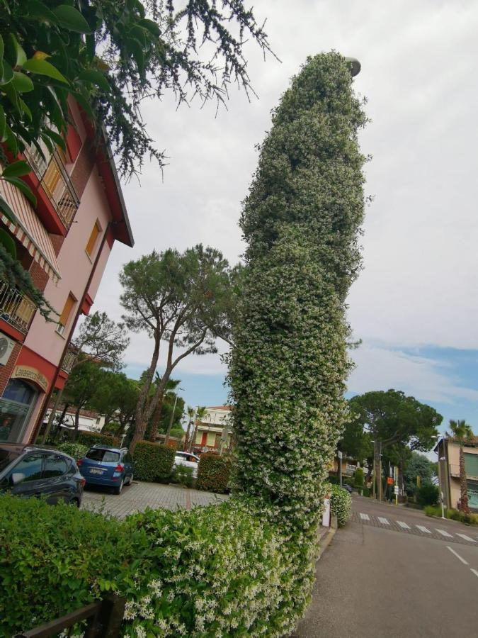 Apartment La Perla Sirmione
