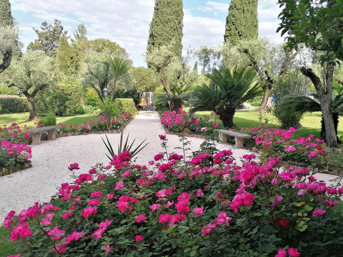 Villa Paradiso Apartment *