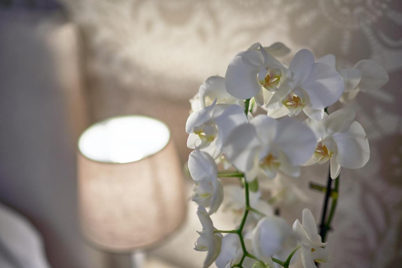 Hotel Hotel Clodia - Adults Only