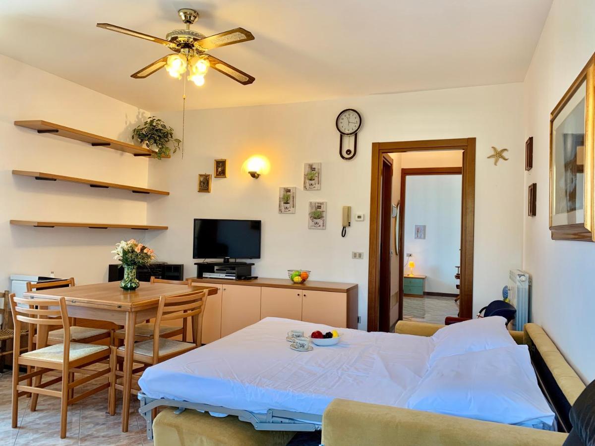 Camelia Apt *