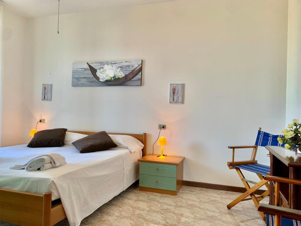 Camelia Apt