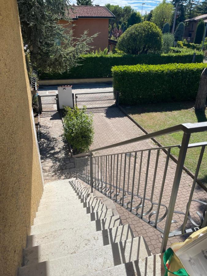 Sunflower Apartament Apartment