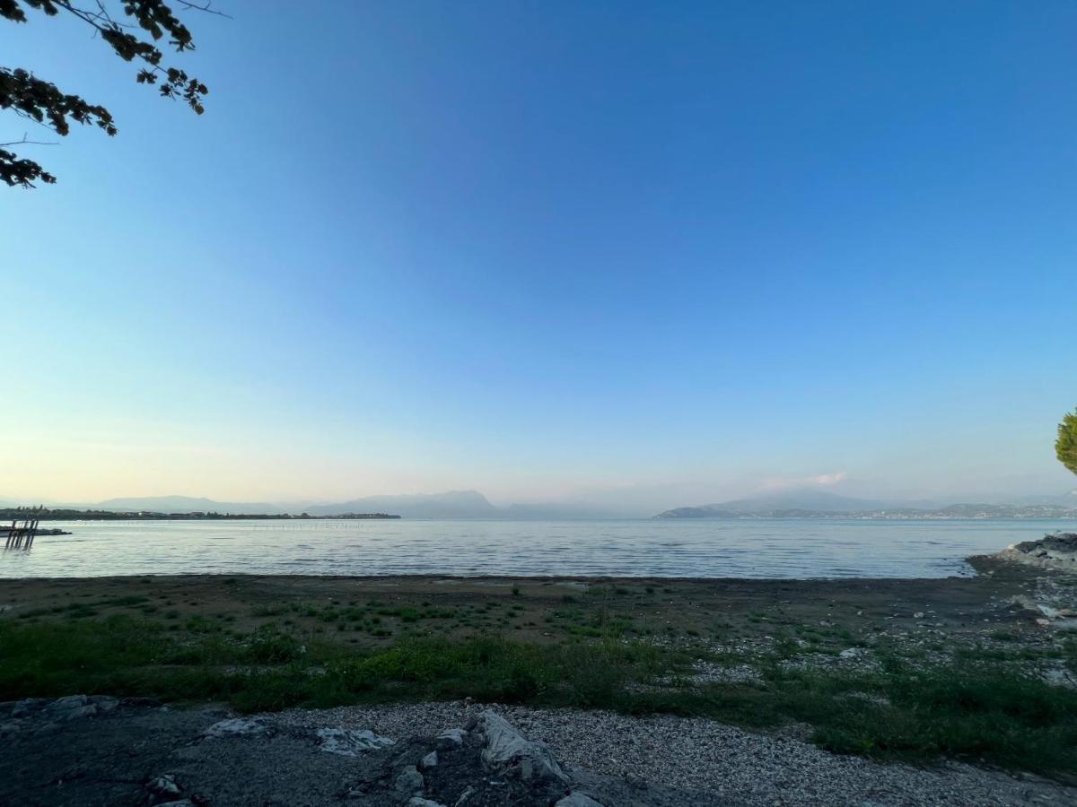 Cinciallegra * Sirmione