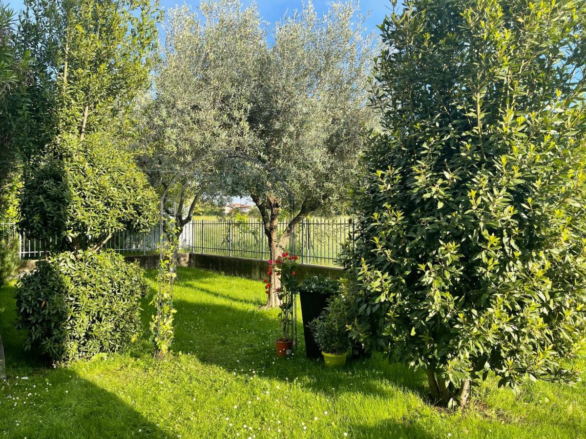 Dimora Di Charme Con Piscina E Giardino,vicina