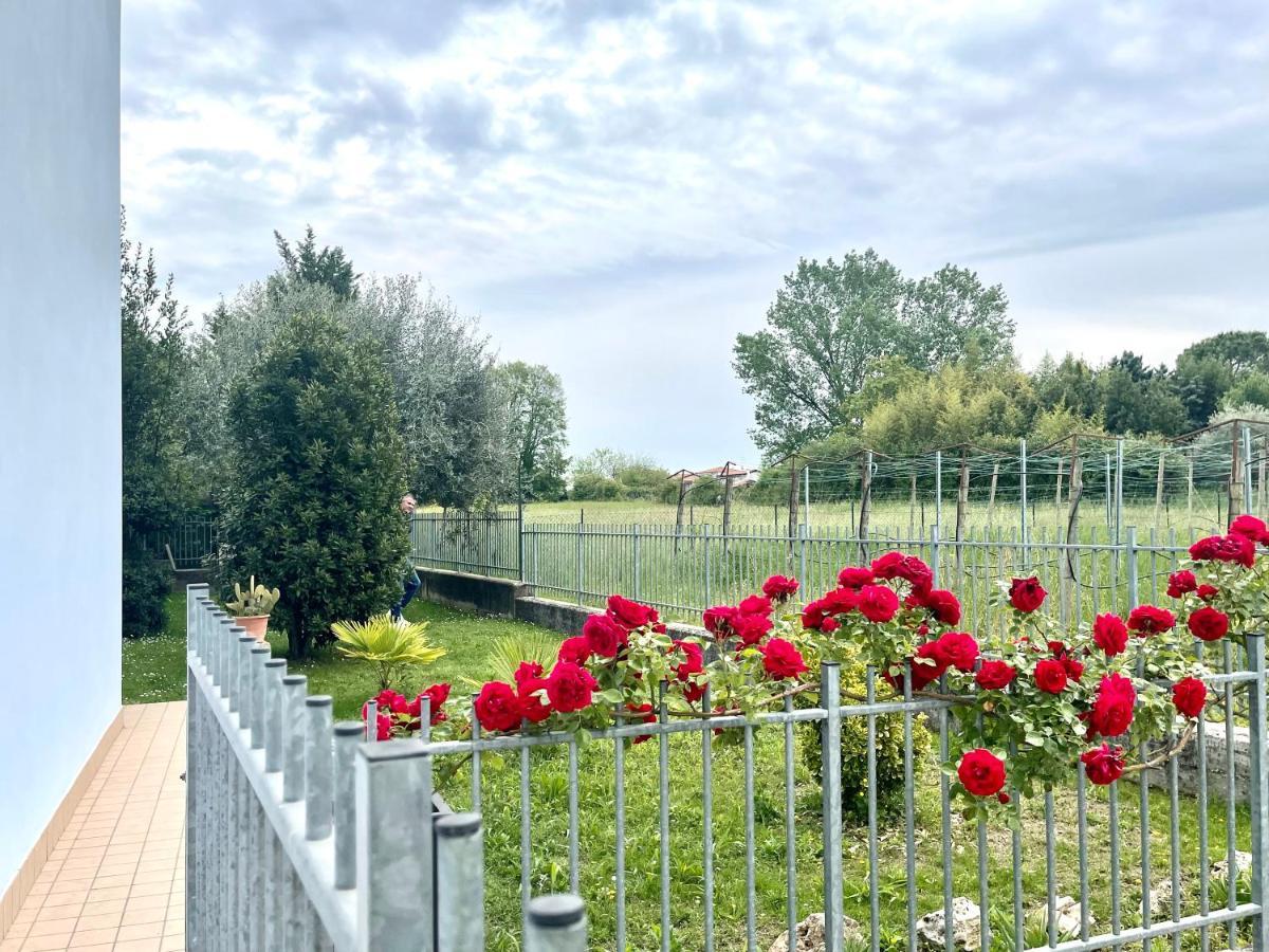 Dimora Di Charme Con Piscina E Giardino,vicina Apartment
