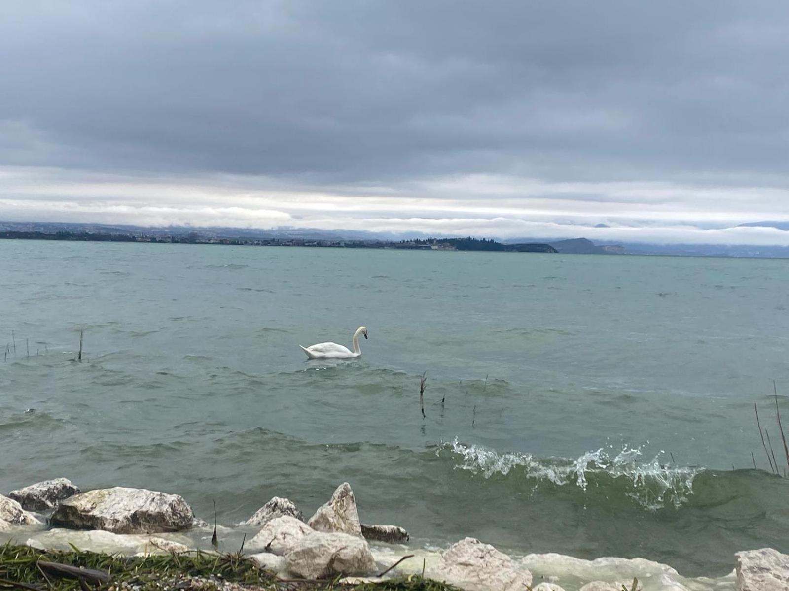 Appartement La Reggia Sirmione