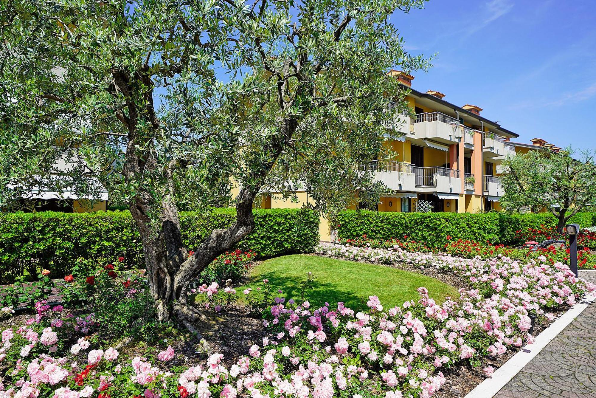 Villaggio Dei Fiori - Viola - Gardagate *