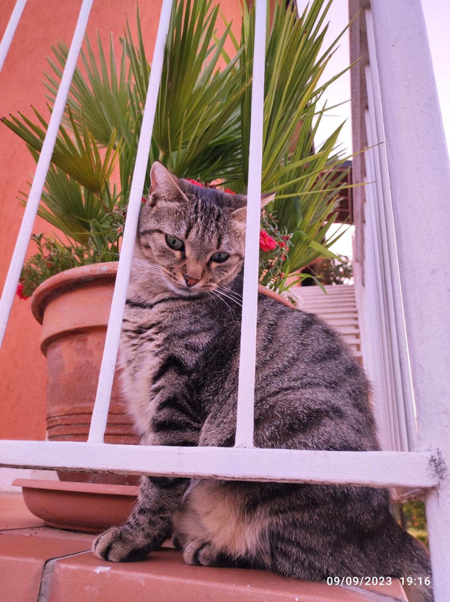 krevet i doručak Casapatrizia Sirmione