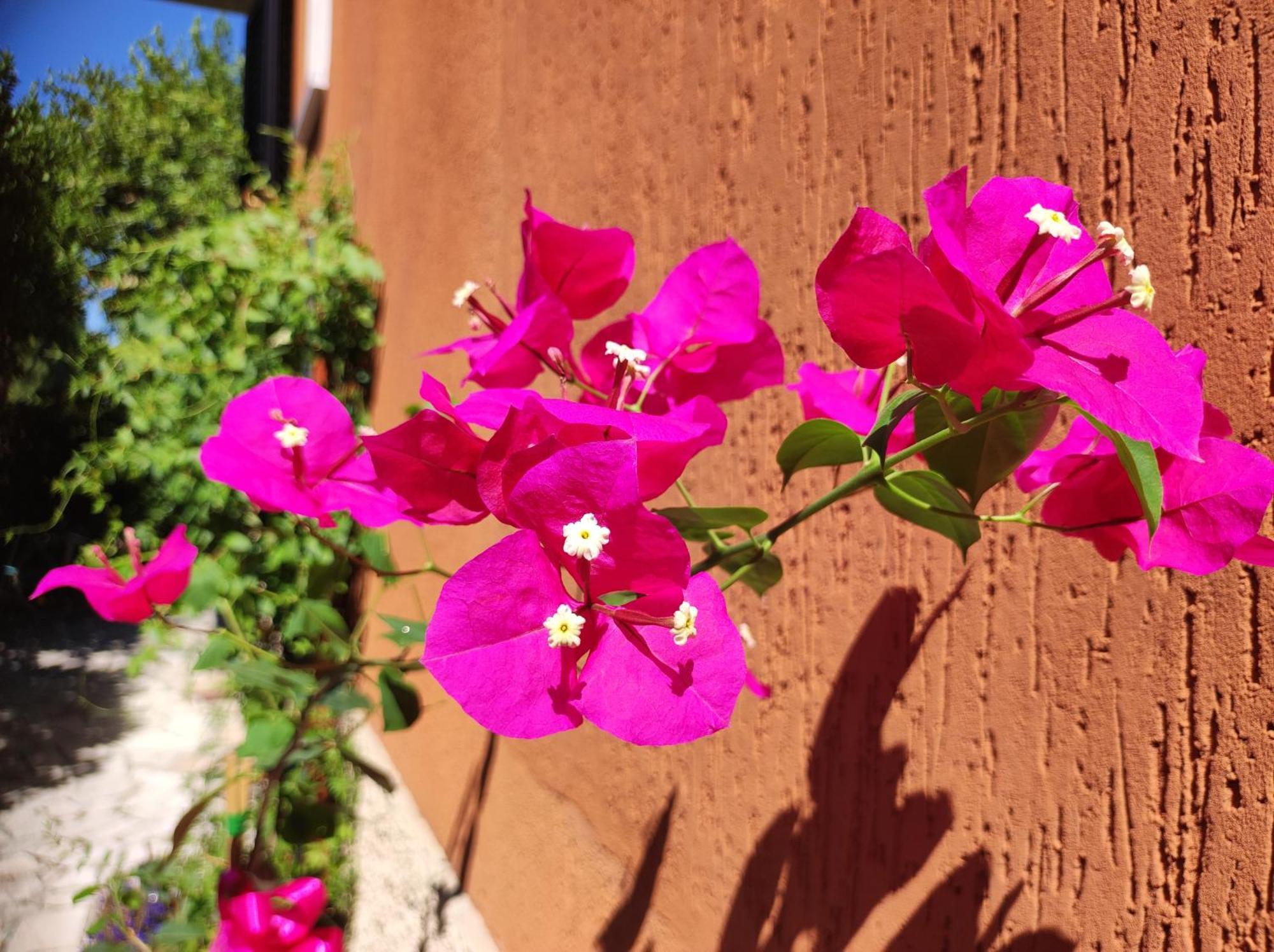 Bed & Breakfast Casapatrizia