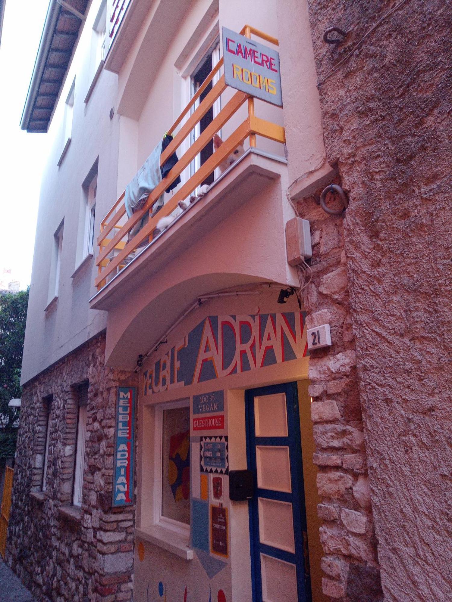 Vegan Meuble Adriana