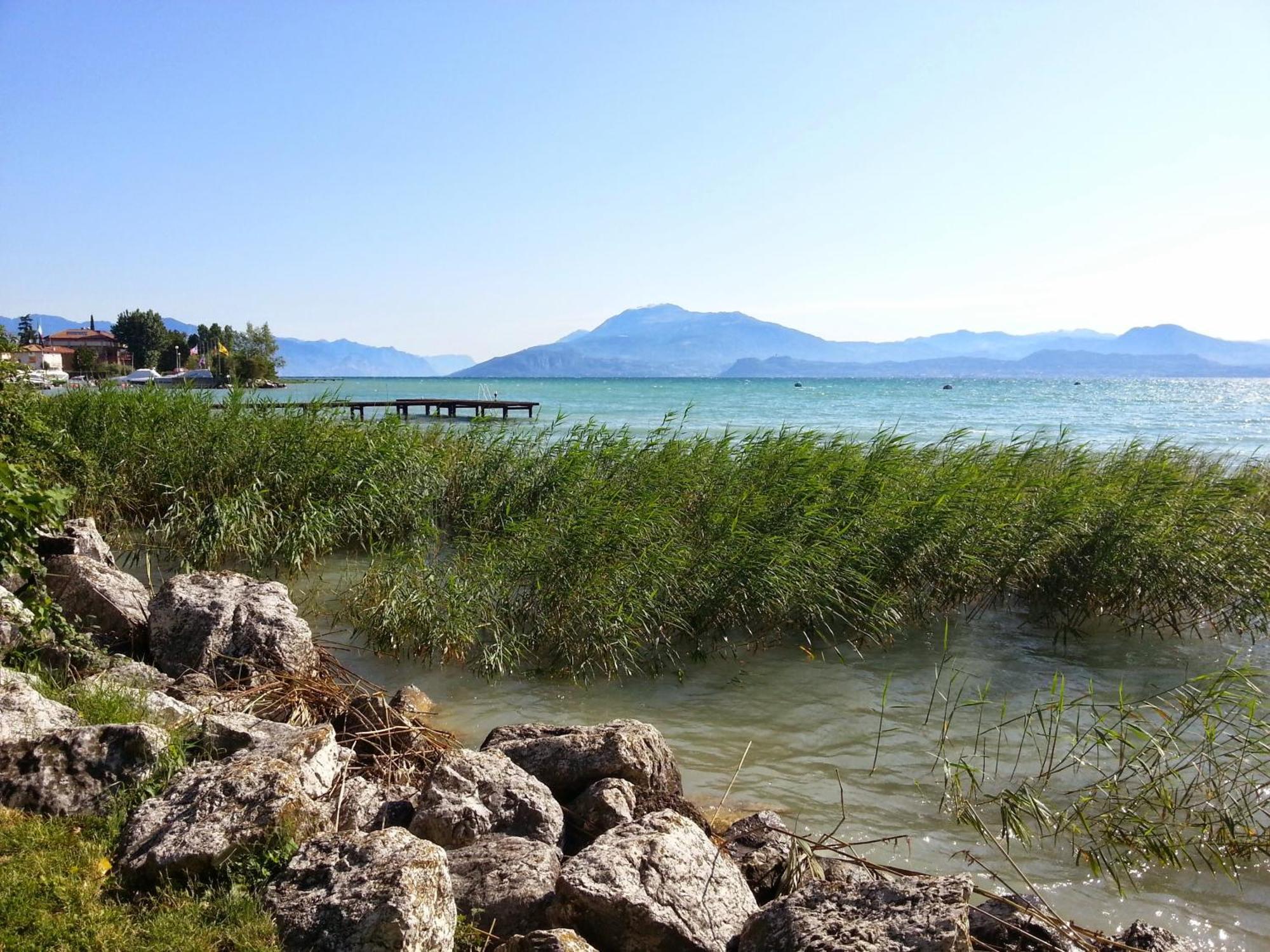 Lago 5