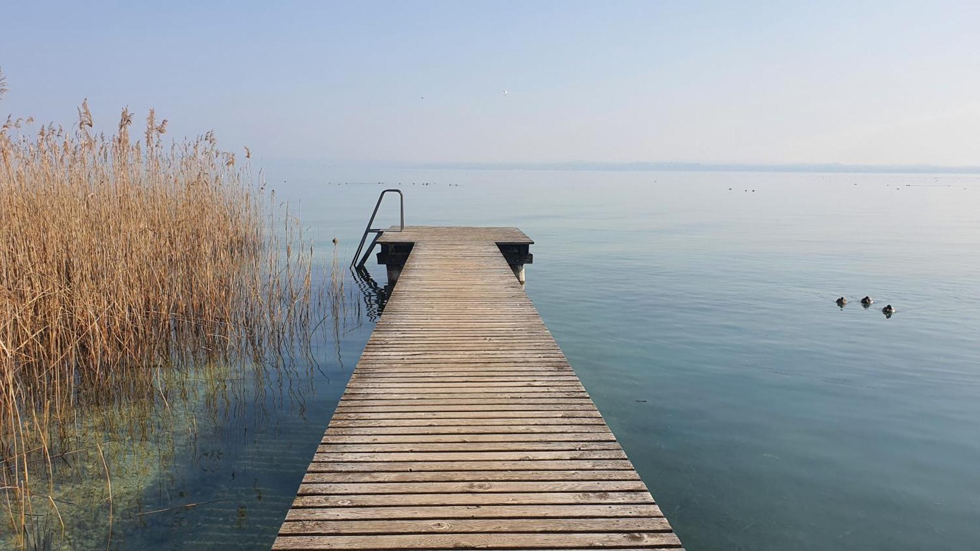 Lago 5
