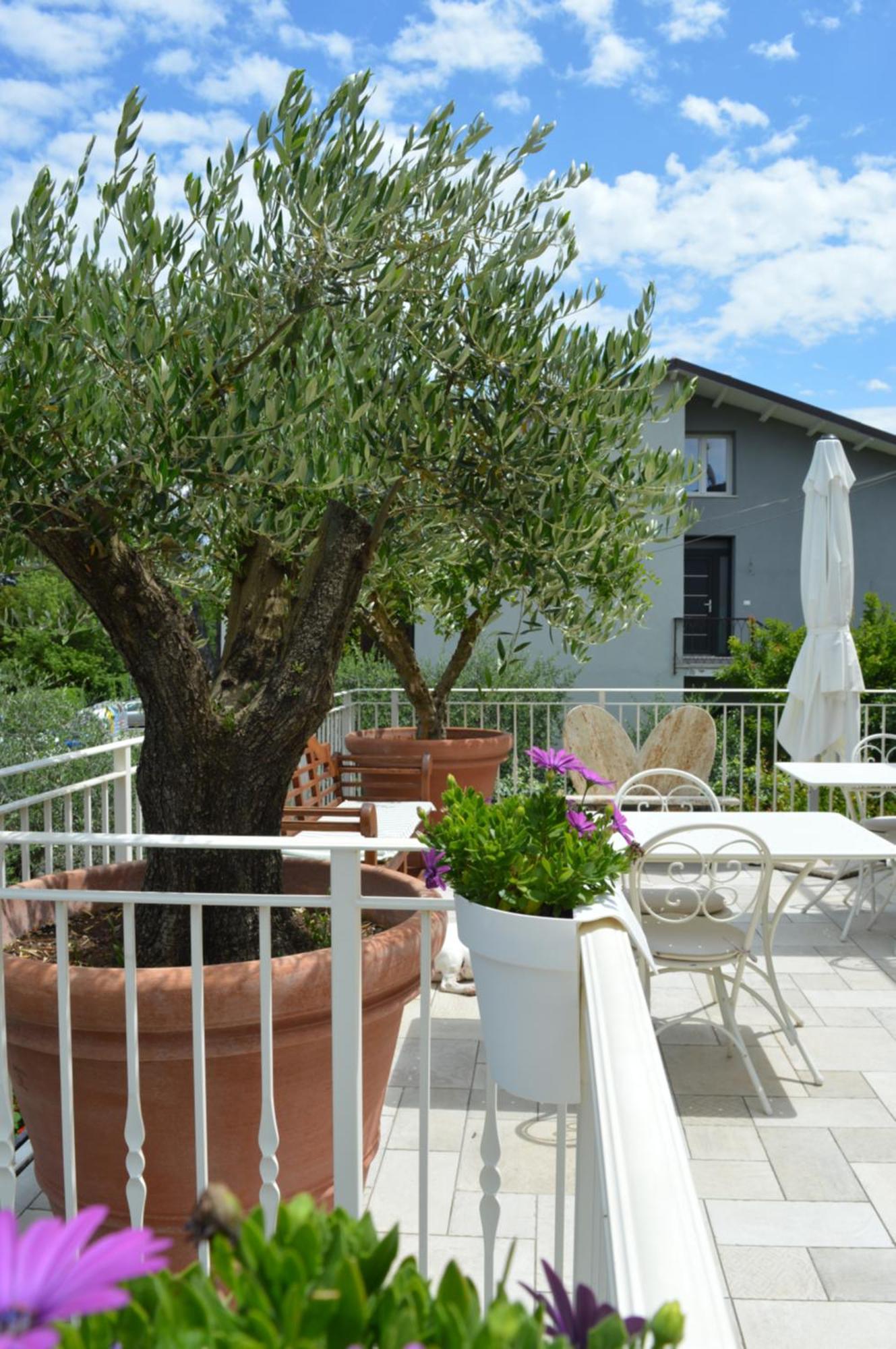 La Fiaba Bed & Breakfast *