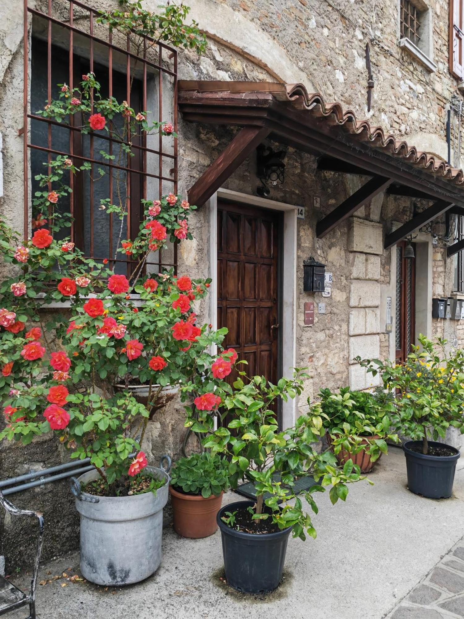Lamagia Di Corte Moronati