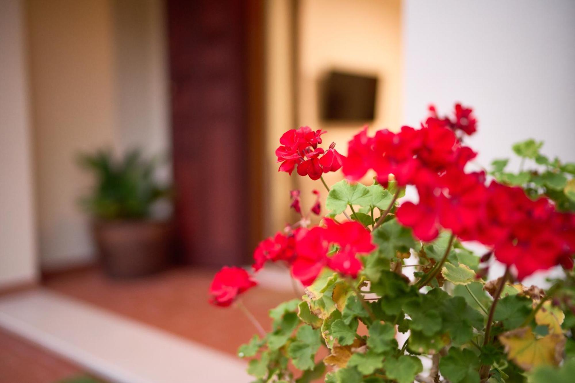 Căn hộ La Casa Di Martina *