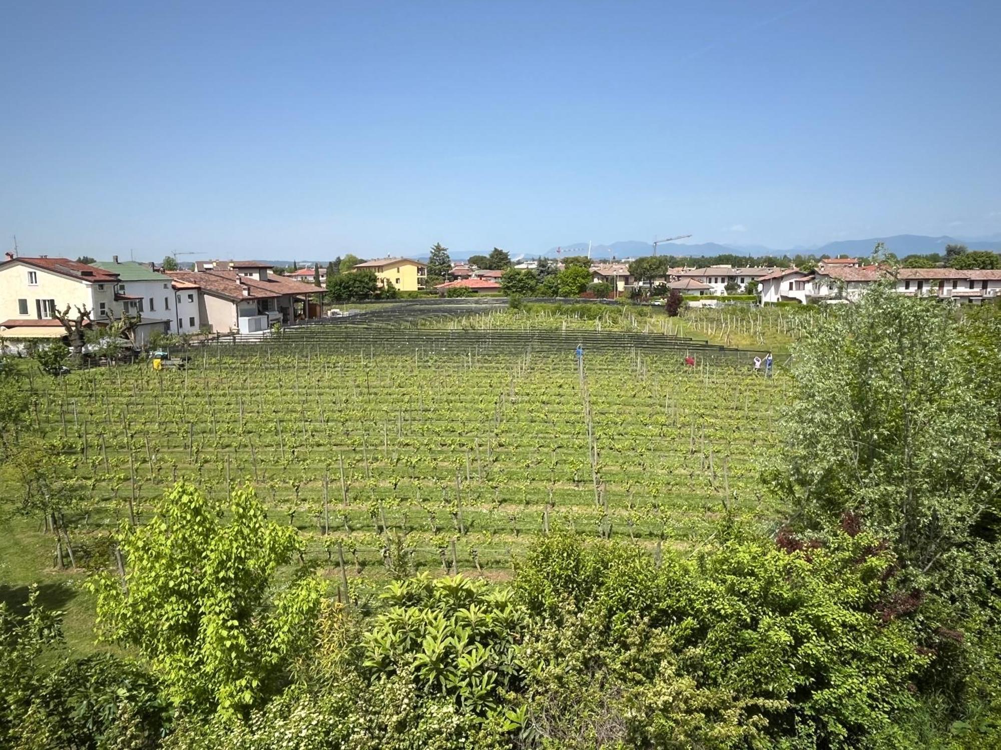Apartment Boomerang & 2 Free Bikes Sirmione