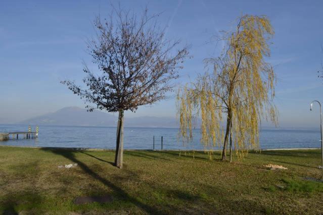 Viola Fronte Apartment Sirmione