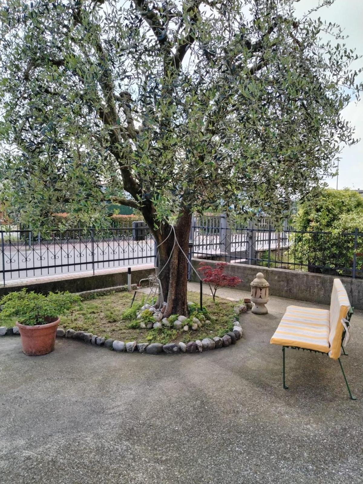 Residenza L'ulivo