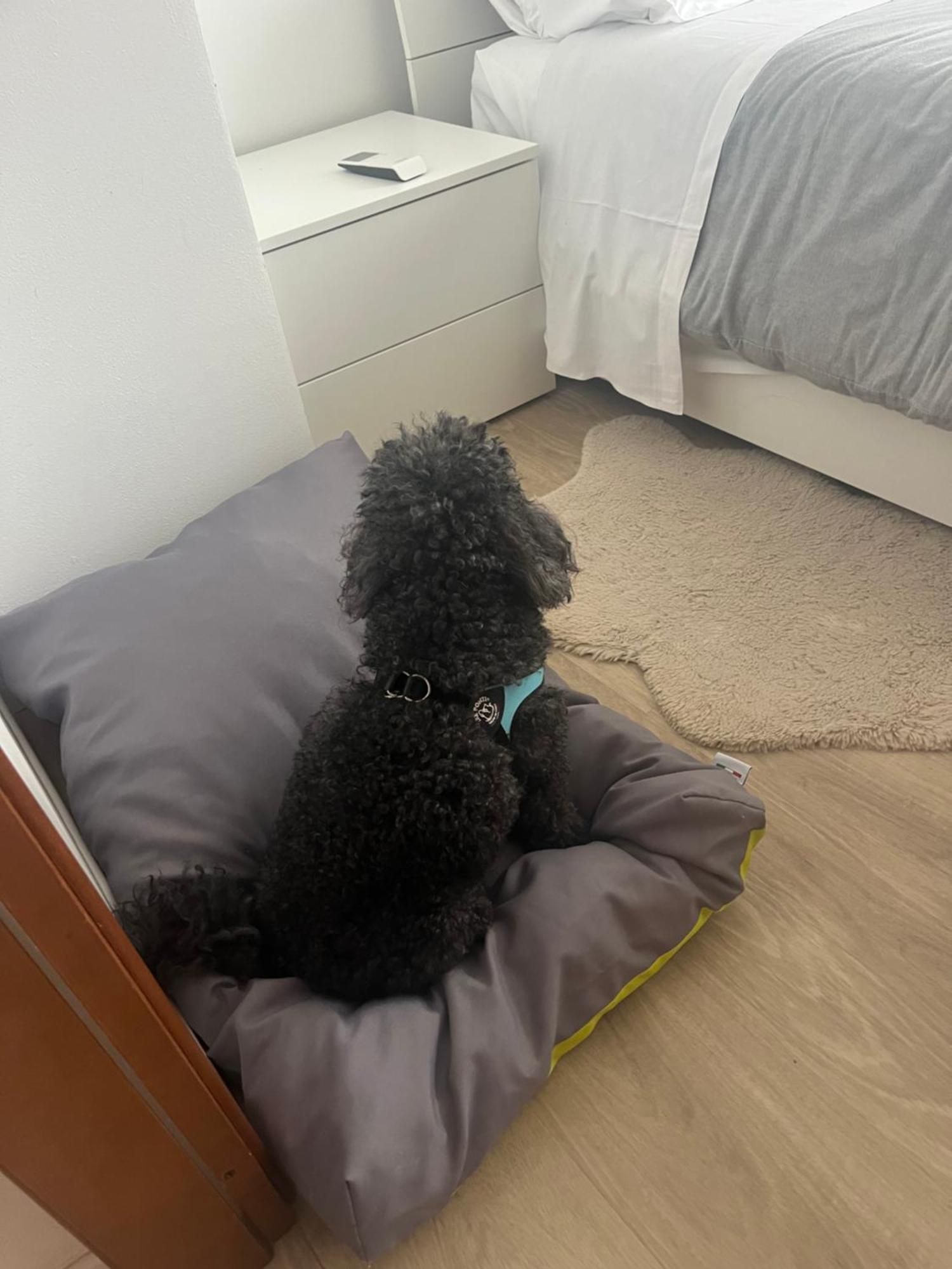 Sirmionerooms Luxury
