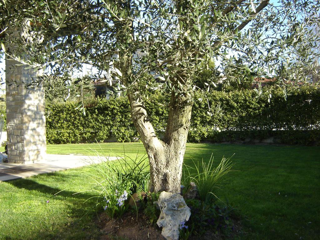 Bed & Breakfast Rosalu - Adults Only *