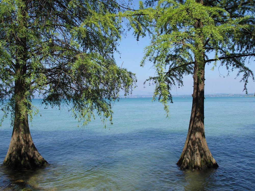 Lugana Parco Al Khách sạn