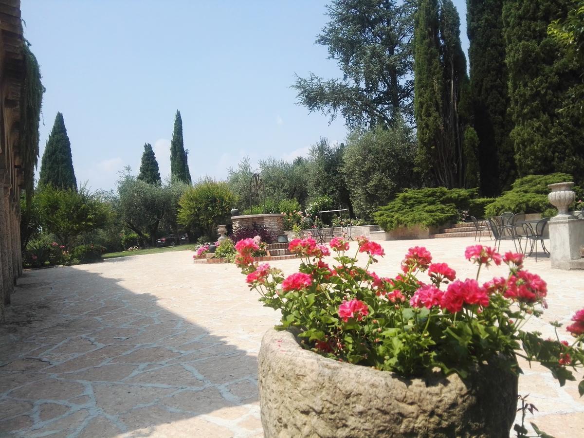 Paradiso *