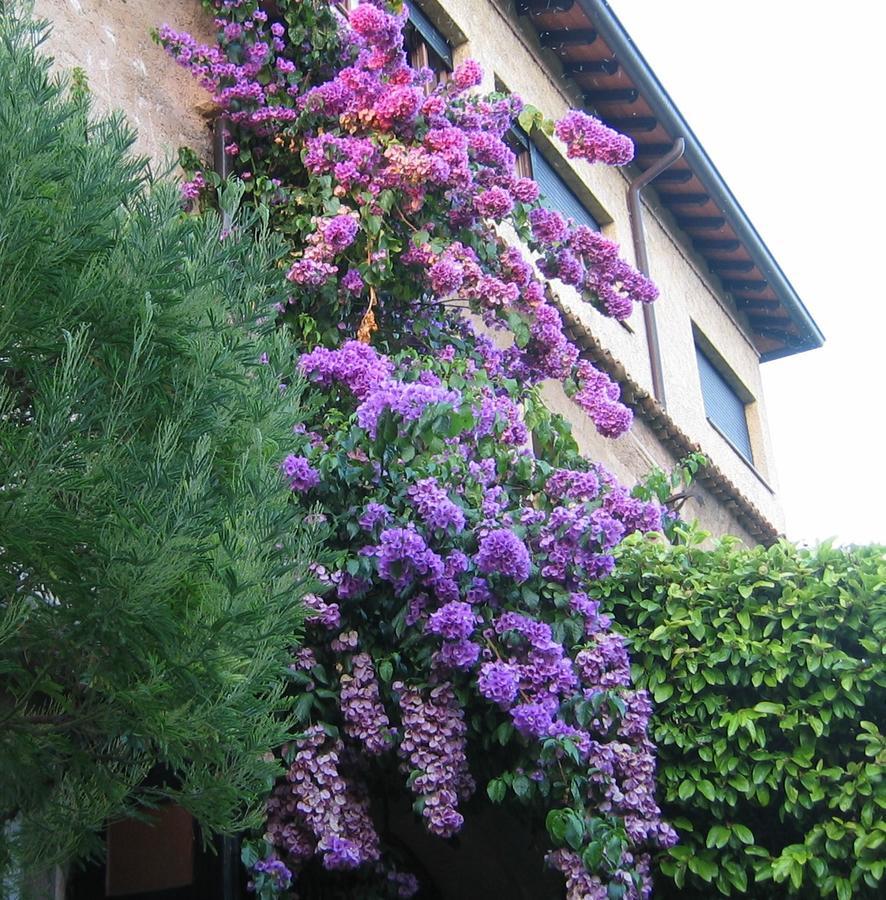 Bed & Breakfast Paradiso Sirmione