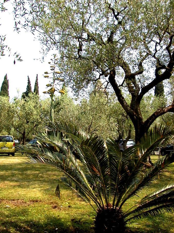 Paradiso Bed & Breakfast Sirmione