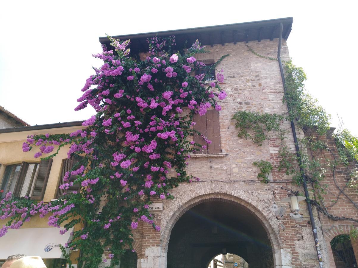 Loma-asunnot Elisea Sirmione