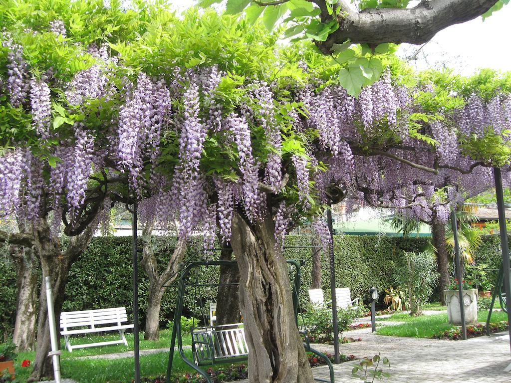 Giardino 3* Sirmione