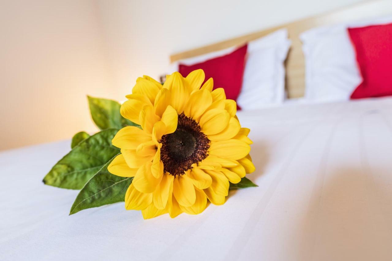 Aparthotel Nuove Terme