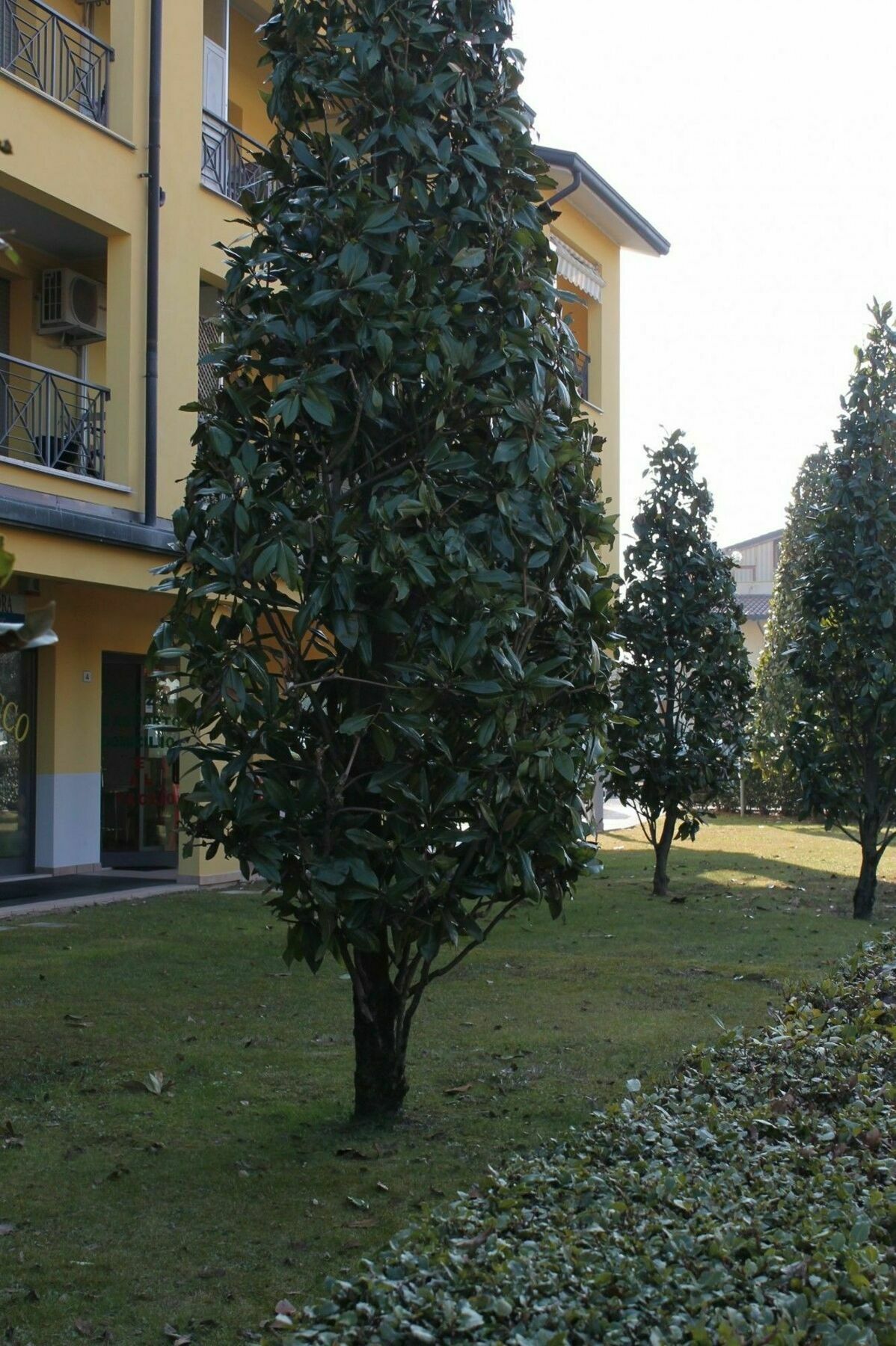Sarno Apartments Caravaggio * Sirmione