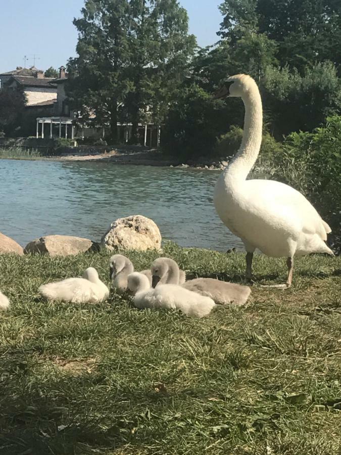 Giardino Sul Garda * Sirmione