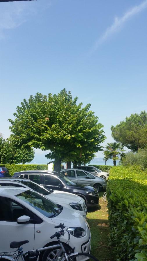Laguna